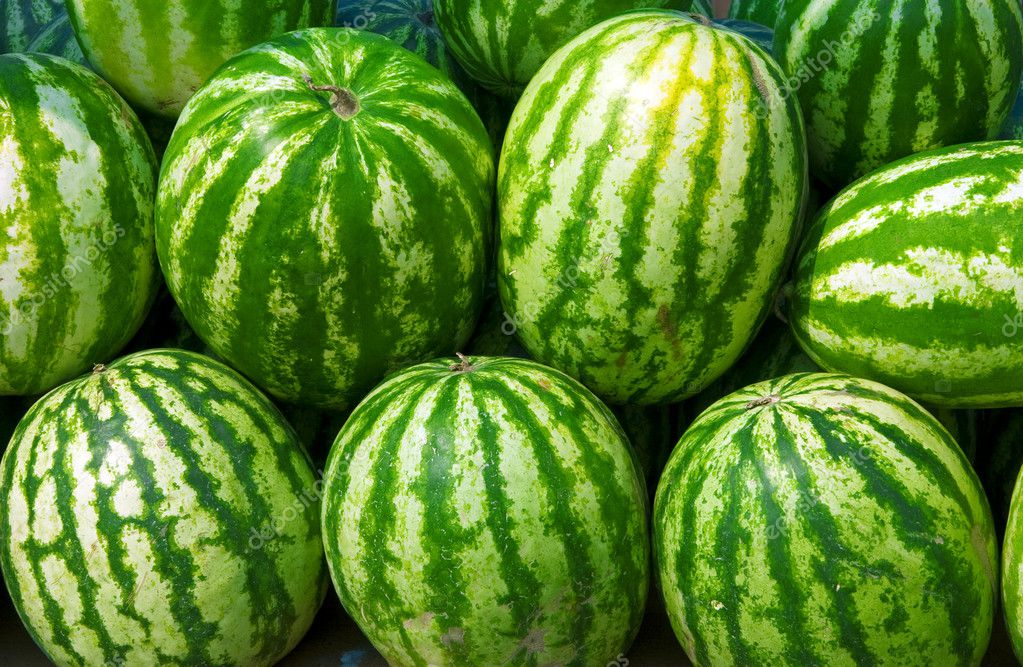 Water-melons — Stock Photo © Serp77 #4553180