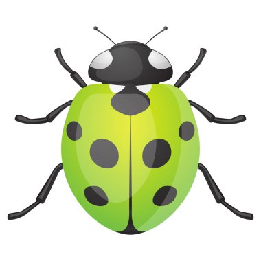 Ladybird clipart