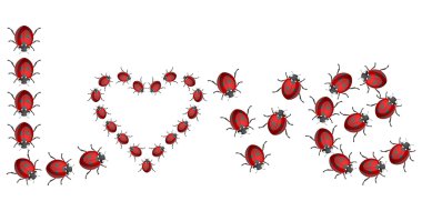 Ladybird heart clipart