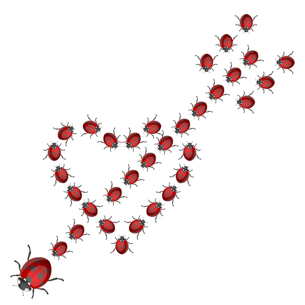 Ladybird hjärta — Stock vektor
