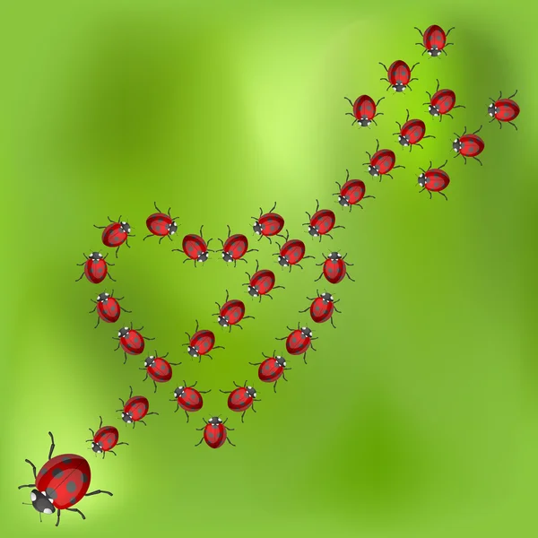 Coeur de coccinelle — Image vectorielle