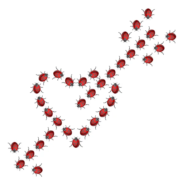 Ladybird heart — Stock Vector