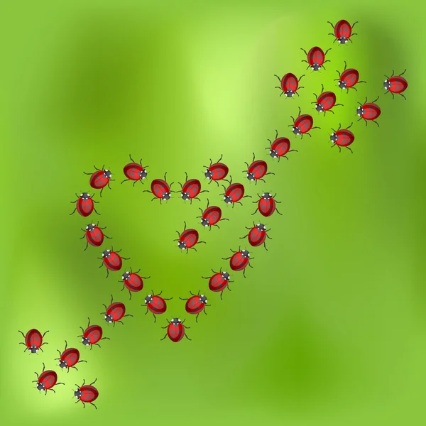 Coeur de coccinelle — Image vectorielle