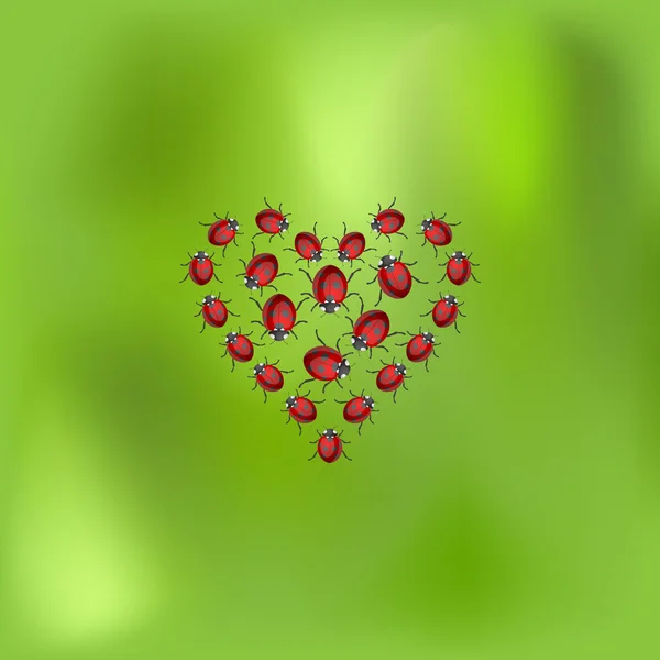 Ladybird hjärta — Stock vektor