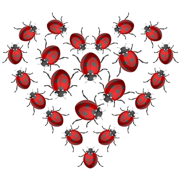 Cuore di coccinella — Vettoriale Stock