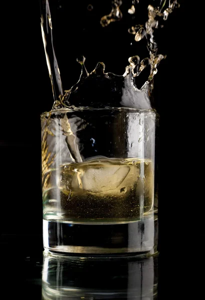 Glass whisky . – stockfoto