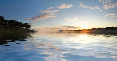 Rush. Solovki, Solovetsky Islands,The White Sea, Korelia, Russia. clipart