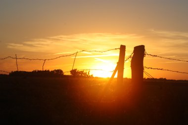 Fence Line Sunset #3 clipart