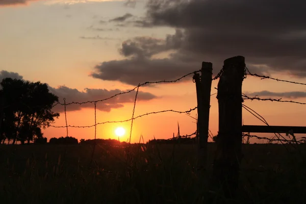 Fence Line Sunset — Stock Photo, Image