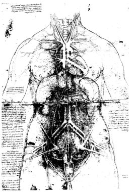 tarafından leonardo da Vinci'nin Vitruvius Adamı