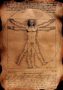 Photo of the Vitruvian Man by Leonardo clipart