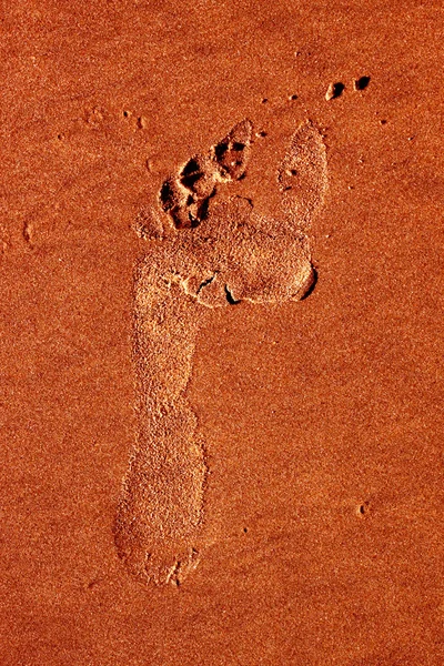 Foot mark — Stock Photo, Image