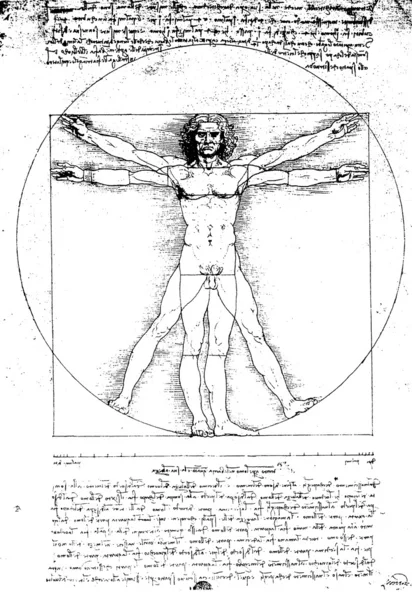 레오나르도 다빈치 인체 남자 — 스톡 사진