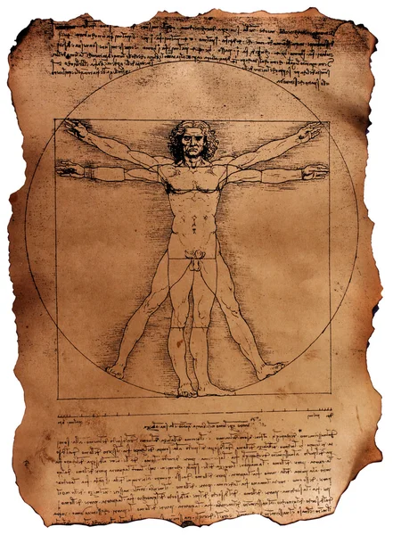 Вітрувіанська людина Leonardo Da Вінчі — стокове фото
