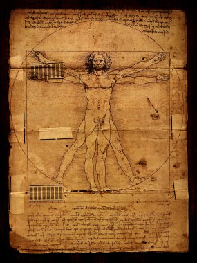 Photo of the Vitruvian Man by Leonardo Da Vinci clipart