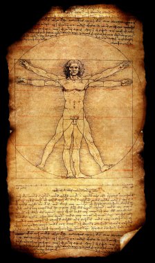 Vitruvian Man clipart