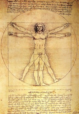 Photo of the Vitruvian Man by Leonardo Da Vinci clipart