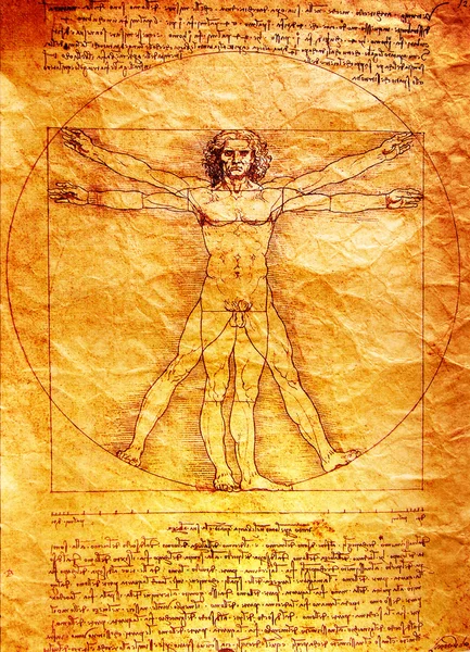 Fotografia omului vitruvian de Leonardo Da Vinci — Fotografie, imagine de stoc