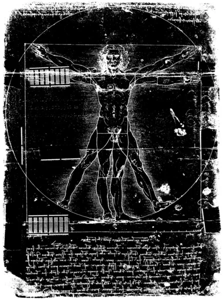 Vitruvian Man — Stock Photo, Image