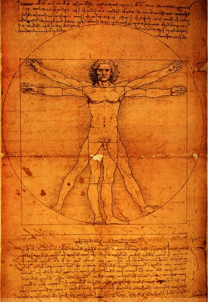 Vitruvian Man — Stock Photo © janaka #3971394