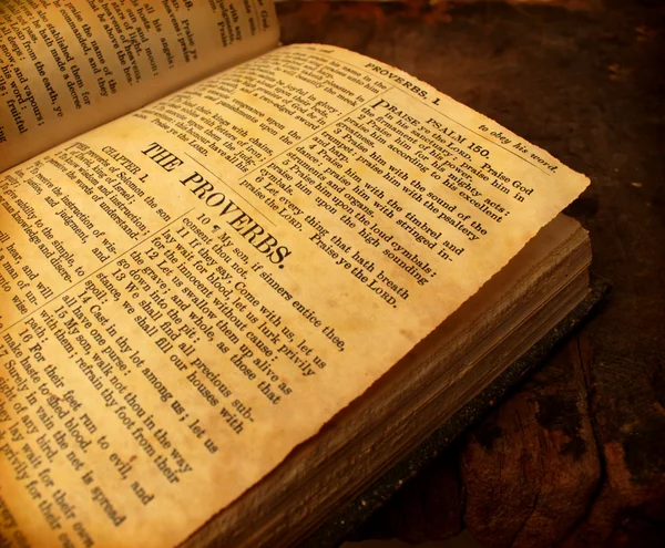 Santa Biblia — Foto de Stock