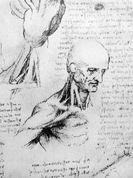 Photo of the Vitruvian Man by Leonardo Da Vinci — Stock Photo, Image