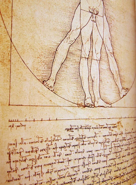 Zdjęcie człowiek witruwiański Leonarda da Vinci — Zdjęcie stockowe