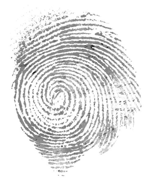 Thumbprint — Stock Photo, Image