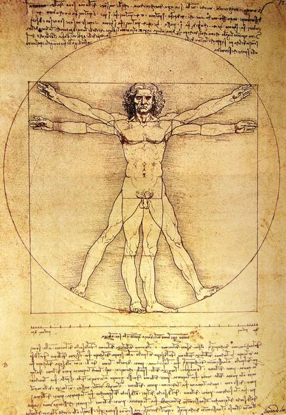 Foto del hombre de Vitruvio de Leonardo Da Vinci Fotos De Stock