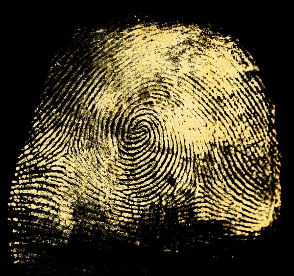 Human fingerprint — Stock Photo, Image