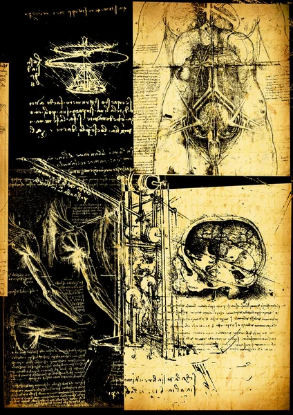 Инженерно-анатомический рисунок Леонардо да Винчи — стоковое фото