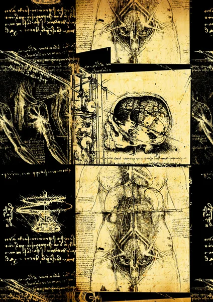 Leonardo's Da Vinci engineering & Anatomy drawing — Stock Photo, Image