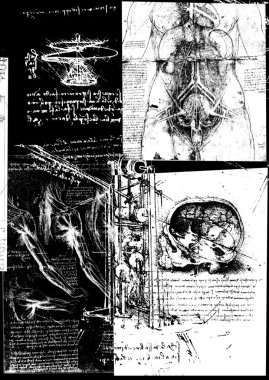 Leonardo's Da Vinci engineering & Anatomy drawing clipart