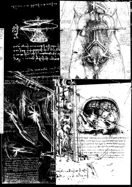 Leonardo 的达 · 芬奇工程 & 解剖绘图 — 图库照片