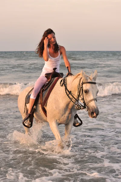 Woman and horse in the sea — Stock Photo, Image