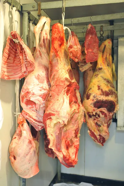 Refrigerador con carne — Foto de Stock