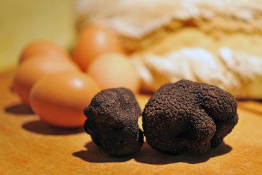 Truffles clipart