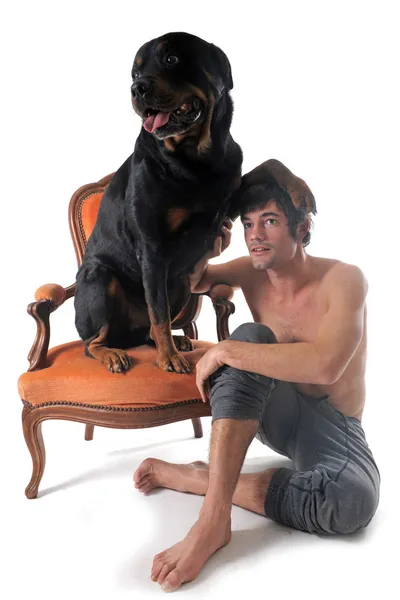 Retrato Rottweiler Raça Pura Homem Frente Fundo Branco — Fotografia de Stock
