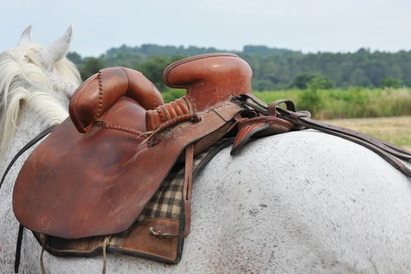 カマルグとコート 白い馬に馬カマルグとコート サドル — ストック写真