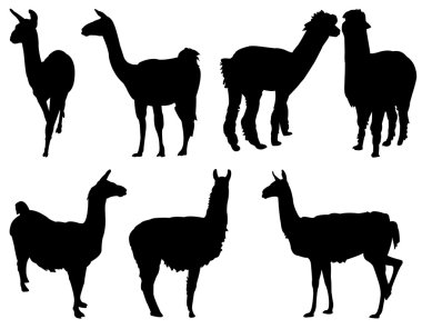 Lama silhouette clipart