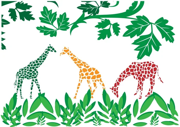 Färgade giraffer — Stock vektor