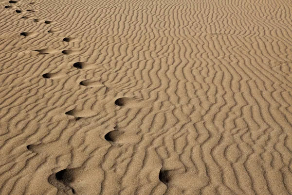 Verloren sands — Stockfoto