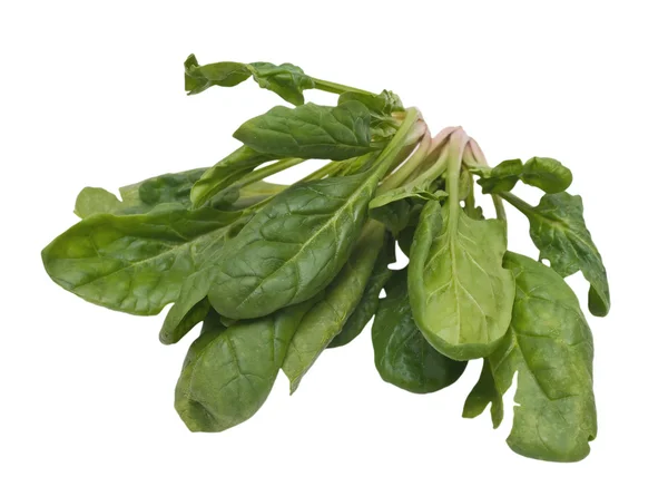 Spinatbüschel Auf Weißem Hintergrund — Stockfoto