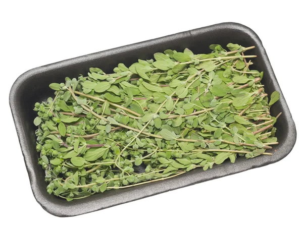 Tray of thyme — Stock Photo, Image