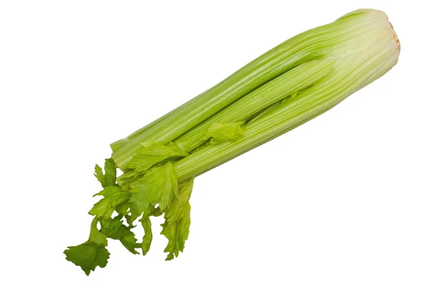 Celery stem — Stock Photo, Image