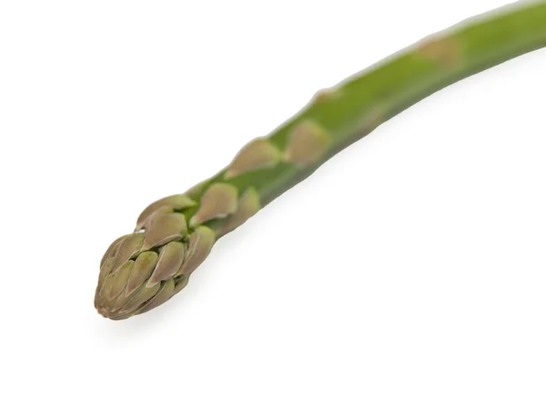 アスパラガス白い背景の上の つの茎 — ストック写真