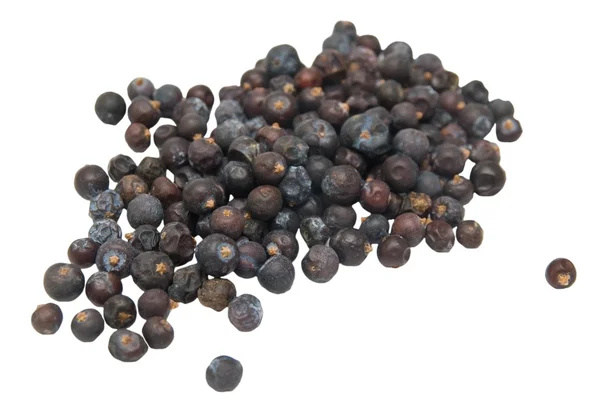 Juniper berries Royalty Free Stock Images