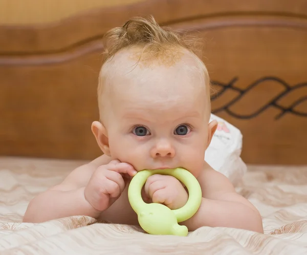 赤ちゃんかじる緑のラテックス歯 — ストック写真