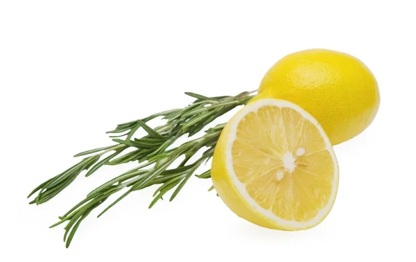 Lemon and rosemary branch — Stock Photo, Image