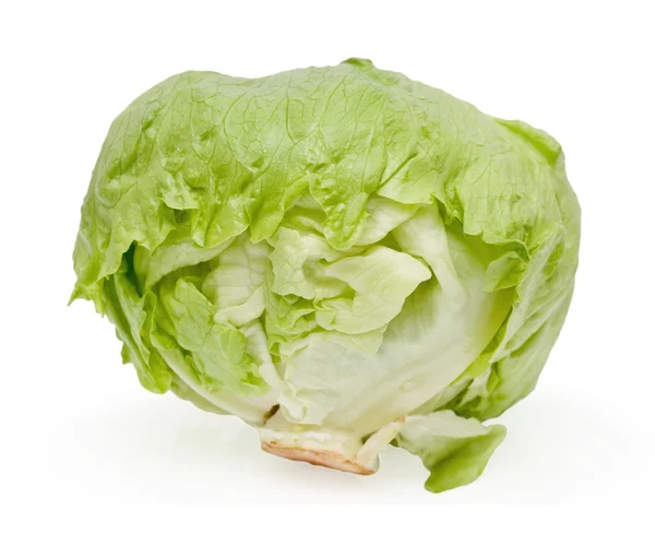 Cabbage Lettuce White Background — Stock Photo, Image